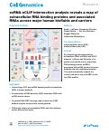 Cover page: exRNA-eCLIP intersection analysis reveals a map of extracellular RNA binding proteins and associated RNAs across major human biofluids and carriers