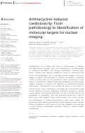 Cover page: Anthracycline-induced cardiotoxicity: From pathobiology to identification of molecular targets for nuclear imaging