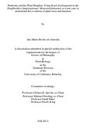 Cover page: Petaloidy and the Plant Bauplan: Using floral development in the Zingiberales (Angiospermae: Monocotyledoneae) as a test case to understand the evolution of plant form and function