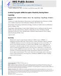 Cover page: Cortical Synaptic AMPA Receptor Plasticity during Motor Learning