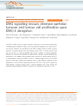 Cover page: ERK5 signalling rescues intestinal epithelial turnover and tumour cell proliferation upon ERK1/2 abrogation