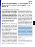 Cover page: Broad and adaptable RNA structure recognition by the human interferon-induced tetratricopeptide repeat protein IFIT5