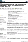Cover page: Histoplasma capsulatum Isolated from Tadarida brasiliensis Bats Captured in Mexico Form a Sister Group to North American Class 2 Clade