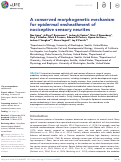 Cover page: A conserved morphogenetic mechanism for epidermal ensheathment of nociceptive sensory neurites