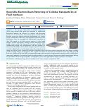 Cover page: Reversible Electron-Beam Patterning of Colloidal Nanoparticles at Fluid Interfaces