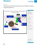 Cover page: Evaluating methods and protocols of ferritin-based magnetogenetics