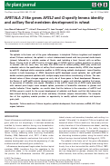 Cover page: APETALA 2‐like genes AP2L2 and Q specify lemma identity and axillary floral meristem development in wheat