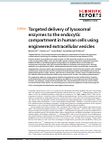 Cover page: Targeted delivery of lysosomal enzymes to the endocytic compartment in human cells using engineered extracellular vesicles