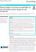 Cover page: Natural display of nuclear-encoded RNA on the cell surface and its impact on cell interaction