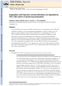 Cover page: Aspergillus and Fusarium Corneal Infections Are Regulated by Th17 Cells and IL-17–Producing Neutrophils