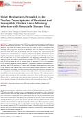 Cover page: Novel Mechanisms Revealed in the Trachea Transcriptome of Resistant and Susceptible Chicken Lines following Infection with Newcastle Disease Virus