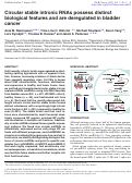 Cover page: Circular stable intronic RNAs possess distinct biological features and are deregulated in bladder cancer.