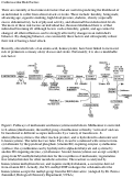 Cover page: Homocysteine and Cardiovascular Disease