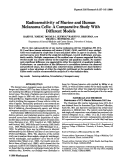 Cover page: Radiosensitivity of Murine and Human Melanoma Cells: A Comparative Study With Different Models