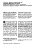 Cover page: Native chick laminin-4 containing the beta 2 chain (s-laminin) promotes motor axon growth.