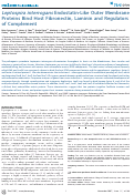 Cover page: Leptospira interrogans Endostatin-Like Outer Membrane Proteins Bind Host Fibronectin, Laminin and Regulators of Complement