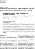 Cover page: Derivation of Neural Progenitors and Retinal Pigment Epithelium from Common Marmoset and Human Pluripotent Stem Cells