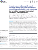 Cover page: Genetic screen in Drosophila muscle identifies autophagy-mediated T-tubule remodeling and a Rab2 role in autophagy