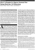 Cover page: Dicer1 is required to repress neuronal fate during endocrine cell maturation.