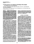 Cover page: Crystal structure of an idiotype-anti-idiotype Fab complex.