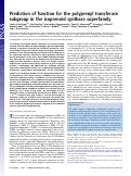 Cover page: Prediction of function for the polyprenyl transferase subgroup in the isoprenoid synthase superfamily