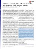 Cover page: Individual IKs channels at the surface of mammalian cells contain two KCNE1 accessory subunits.