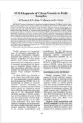 Cover page: PCR Diagnosis of Some Citrus Viroids in Field Samples