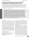 Cover page: p38 mitogen-activated protein kinase regulates chamber specific perinatal growth in heart