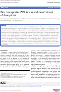 Cover page: Zinc transporter ZIP7 is a novel determinant of ferroptosis.