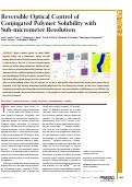 Cover page: Reversible Optical Control of Conjugated Polymer Solubility with Sub-micrometer Resolution