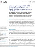 Cover page: α1-Adrenergic receptor–PKC–Pyk2–Src signaling boosts L-type Ca2+ channel CaV1.2 activity and long-term potentiation in rodents