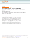 Cover page: Structural insights into substrate and inhibitor binding sites in human indoleamine 2,3-dioxygenase 1.