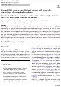 Cover page: Human HSP70-escort protein 1 (hHep1) interacts with negatively charged lipid bilayers and cell membranes.