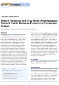 Cover page: Where Predators and Prey Meet: Anthropogenic Contact Points Between Fishes in a Freshwater Estuary