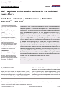 Cover page: SIRT1 regulates nuclear number and domain size in skeletal muscle fibers.