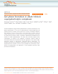 Cover page: Gel phase formation in dilute triblock copolyelectrolyte complexes