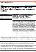 Cover page: RNA is a key component of extracellular DNA networks in Pseudomonas aeruginosa biofilms.