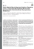 Cover page: Obese Skeletal Muscle-Expressed Interferon Regulatory Factor 4 Transcriptionally Regulates Mitochondrial Branched-Chain Aminotransferase Reprogramming Metabolome.