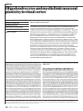 Cover page: Oligodendrocytes and myelin limit neuronal plasticity in visual cortex