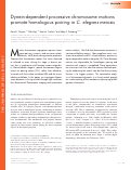 Cover page: Dynein-dependent processive chromosome motions promote homologous pairing in C. elegans meiosis