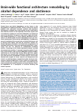 Cover page: Brain-wide functional architecture remodeling by alcohol dependence and abstinence