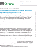 Cover page: Mapping metabolic activity at single cell resolution in intact volcanic fumarole sediment.