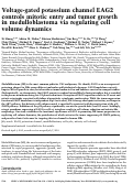 Cover page: Voltage-gated potassium channel EAG2 controls mitotic entry and tumor growth in medulloblastoma via regulating cell volume dynamics.