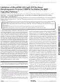 Cover page: Inhibition of MicroRNA-302 (miR-302) by Bone Morphogenetic Protein 4 (BMP4) Facilitates the BMP Signaling Pathway*