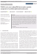 Cover page: TINCR is not a non-coding RNA but encodes a protein component of cornified epidermal keratinocytes.