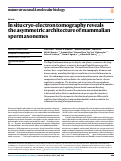 Cover page: In situ cryo-electron tomography reveals the asymmetric architecture of mammalian sperm axonemes