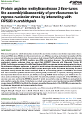 Cover page: Protein arginine methyltransferase 3 fine-tunes the assembly/disassembly of pre-ribosomes to repress nucleolar stress by interacting with RPS2B in arabidopsis