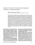 Cover page: Elevation of cyclic AMP activates an actin-dependent contraction in teleost retinal rods.