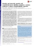 Cover page: Nicotinic and muscarinic agonists and acetylcholinesterase inhibitors stimulate a common pathway to enhance GluN2B-NMDAR responses