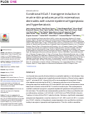 Cover page: Conditional KCa3.1-transgene induction in murine skin produces pruritic eczematous dermatitis with severe epidermal hyperplasia and hyperkeratosis